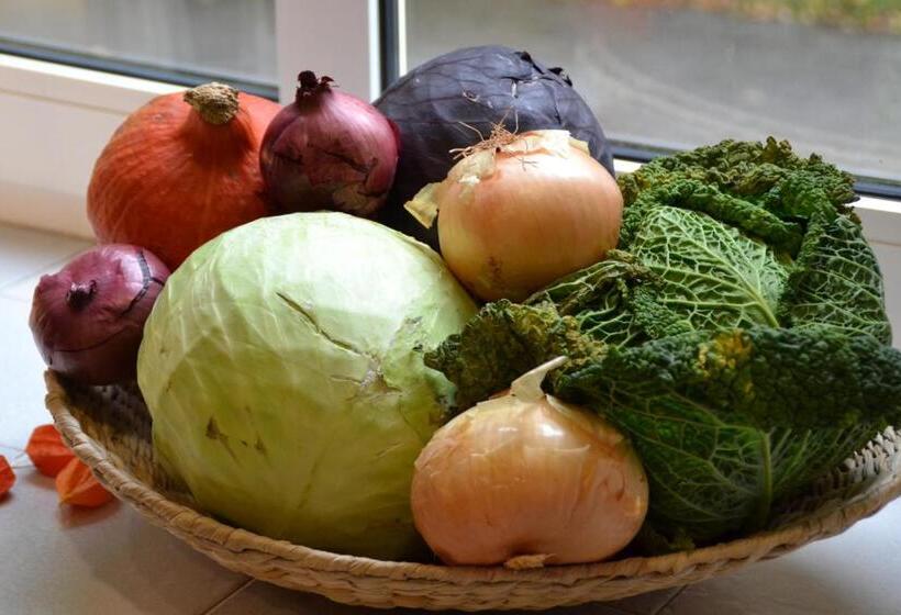 호스텔 Christian Jensen Kolleg Und Gästehäuser