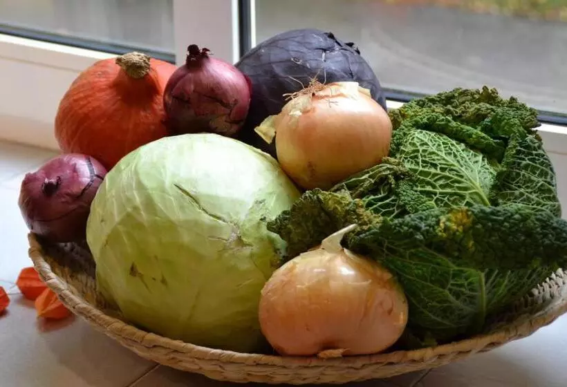 ユースホステル Christian Jensen Kolleg Und Gästehäuser