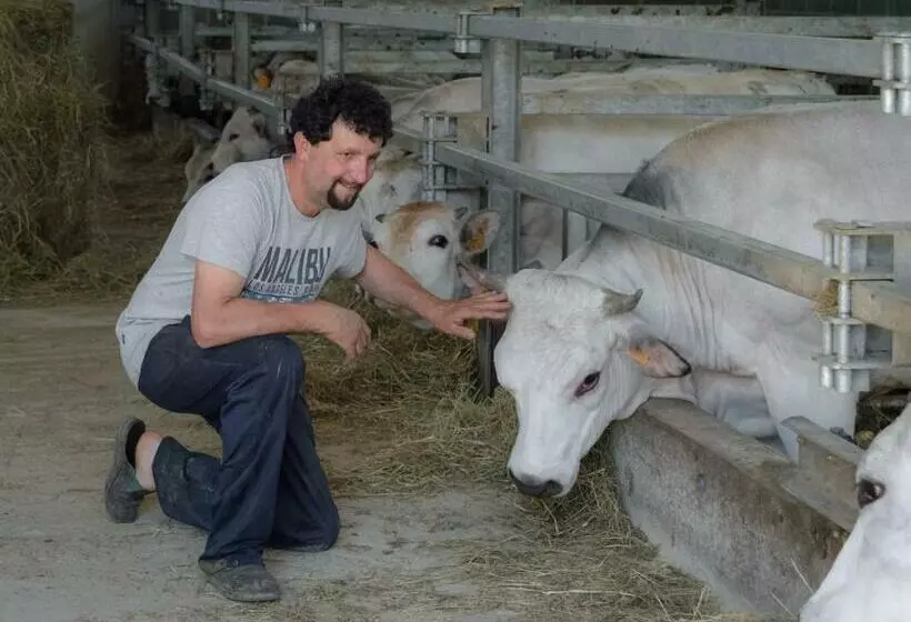 Aamiaismajoitus (B&B) All'ombra Del Castello