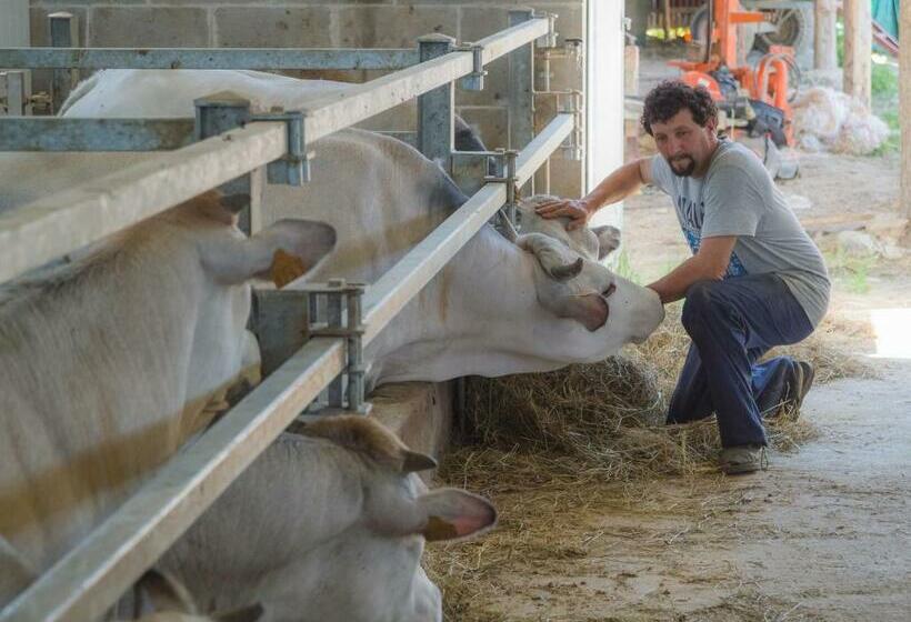 ベッドアンドブレックファースト All'ombra Del Castello