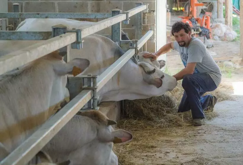 Aamiaismajoitus (B&B) All'ombra Del Castello