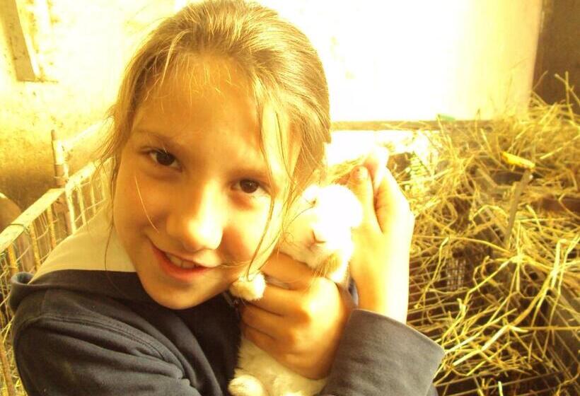 ベッドアンドブレックファースト All'ombra Del Castello