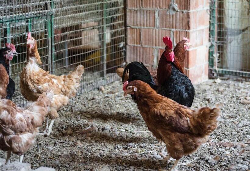 ベッドアンドブレックファースト All'ombra Del Castello