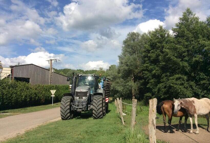 Bed and Breakfast Chambres D'hôtes Les Templiers