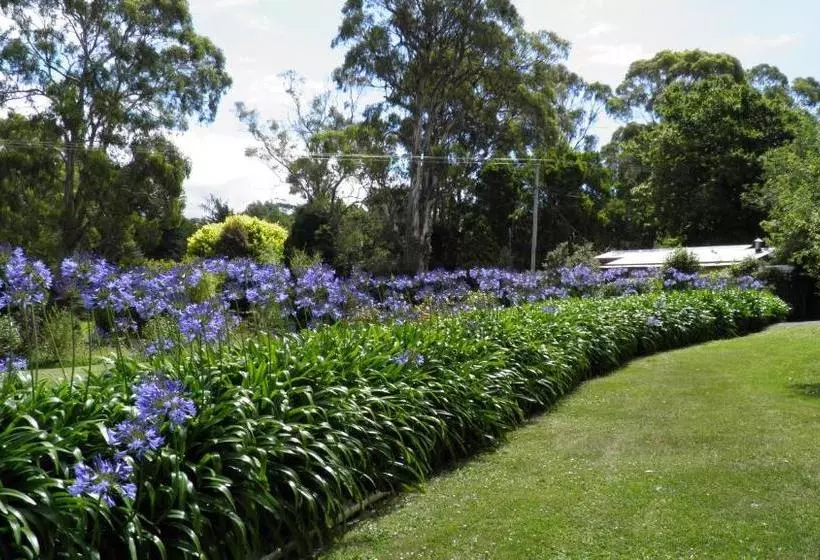 Aamiaismajoitus (B&B) Tamar River Retreat