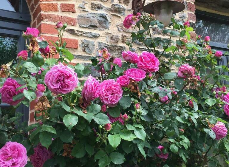 ベッドアンドブレックファースト Tillac Chambres D'hôtes