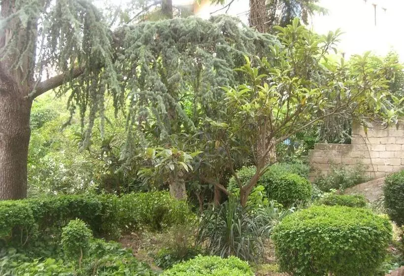 Aamiaismajoitus (B&B) Villa Genny