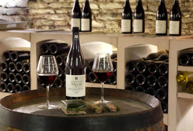 Château De Melin B&b