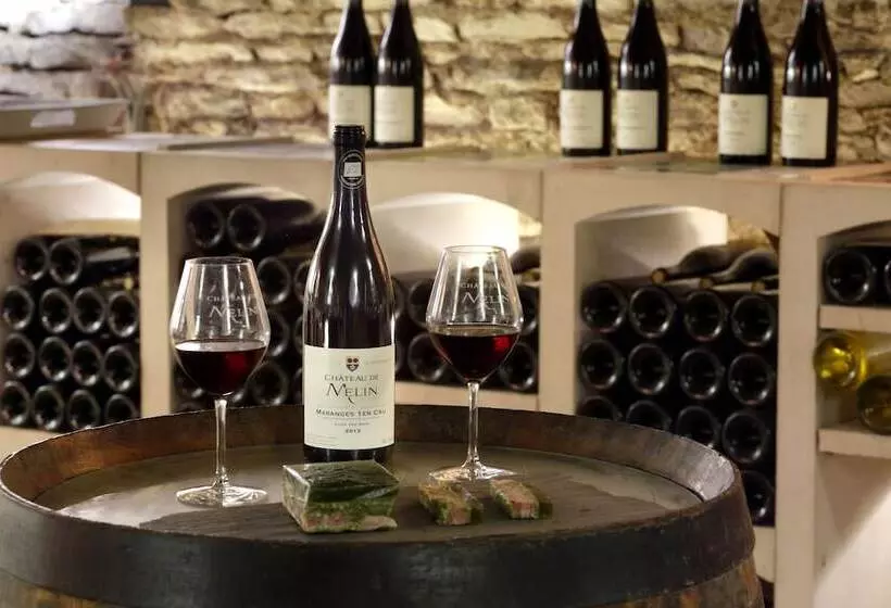 Château De Melin B&b