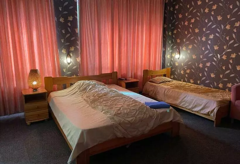 Hotelli Airport Szálló