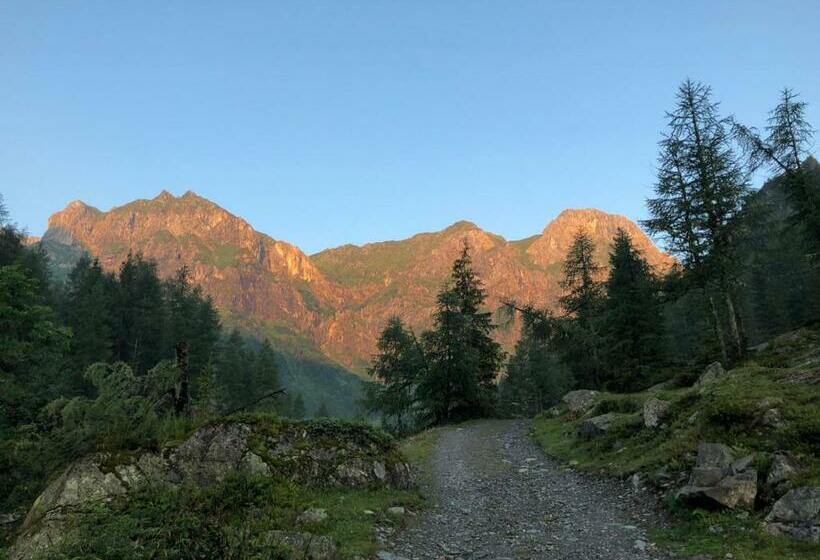 Отель Alpenhof Strenge