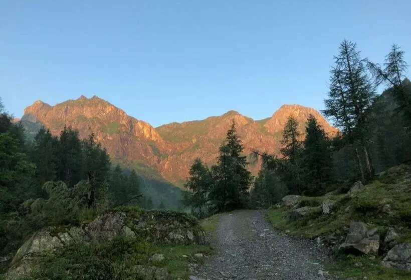 ホテル Alpenhof Strenge