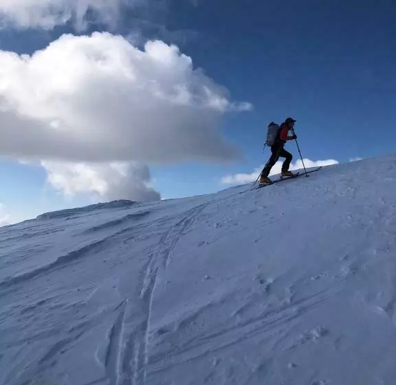 ホテル Alpenhof Strenge