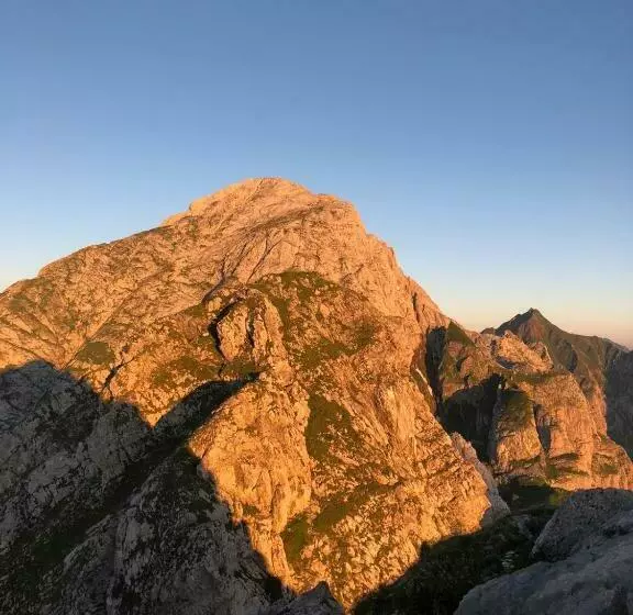 ホテル Alpenhof Strenge