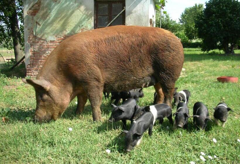 ホテル Cascina Beneficio