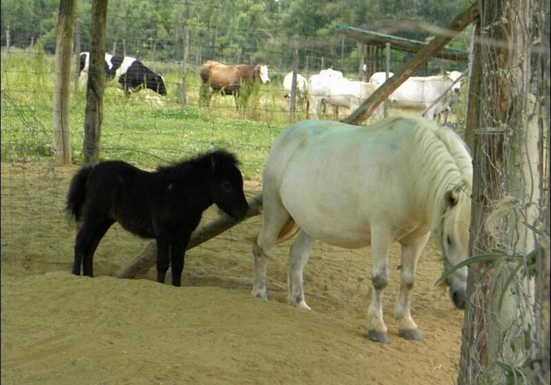 ホテル Cascina Beneficio