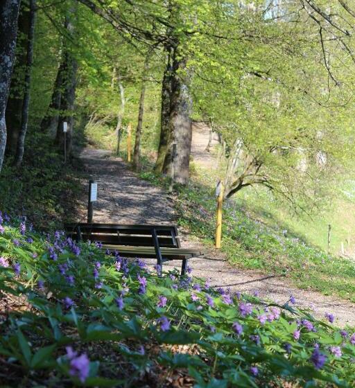 בית מלון כפרי Hulfteggpass