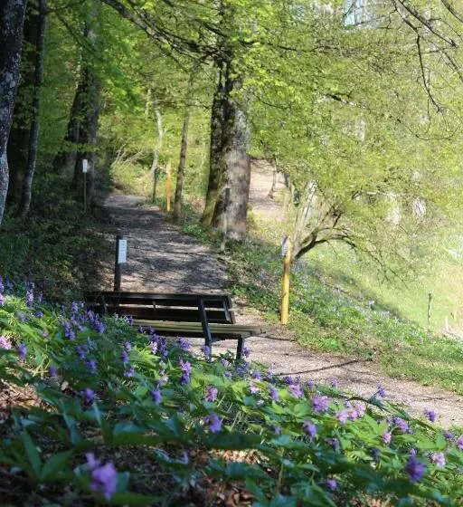 Hotelli Hulfteggpass