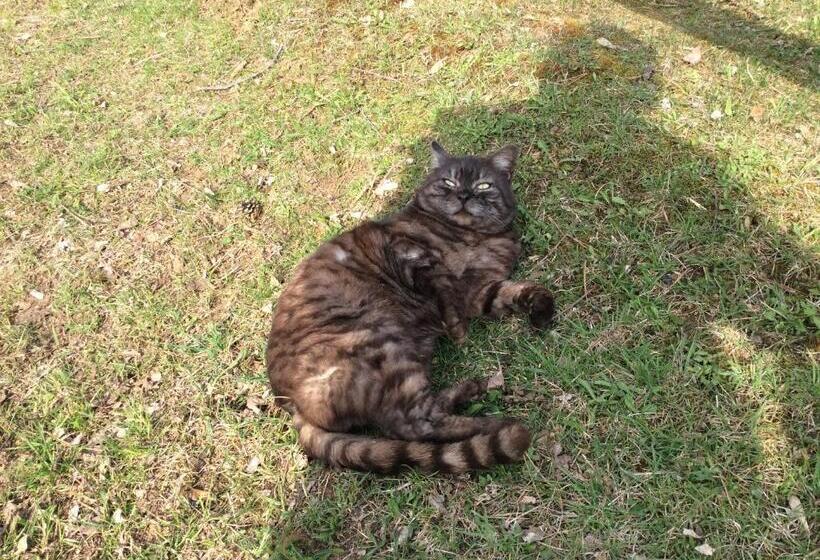 فندق Kniebergerhof