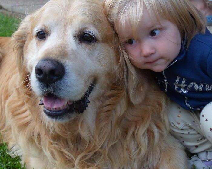 فندق Kniebergerhof