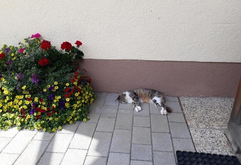 فندق Kniebergerhof