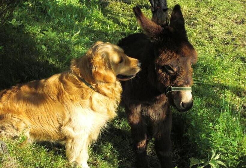 فندق Kniebergerhof