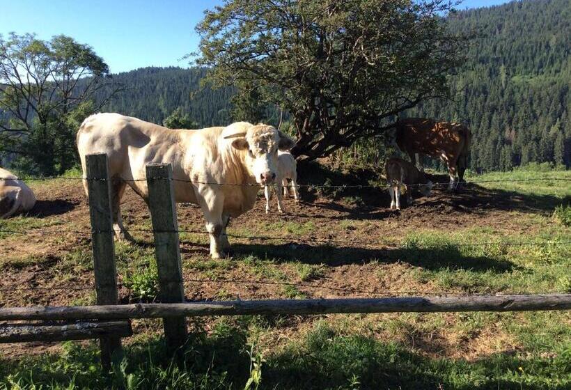 فندق Kniebergerhof