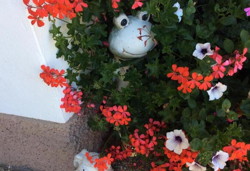 فندق Kniebergerhof