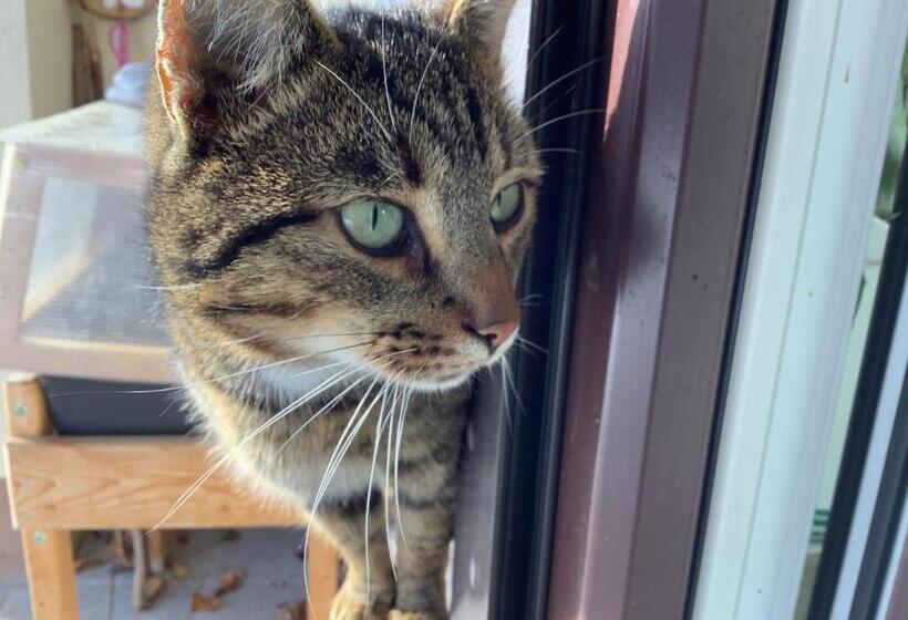 فندق Kniebergerhof