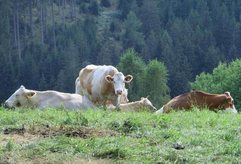 فندق Kniebergerhof