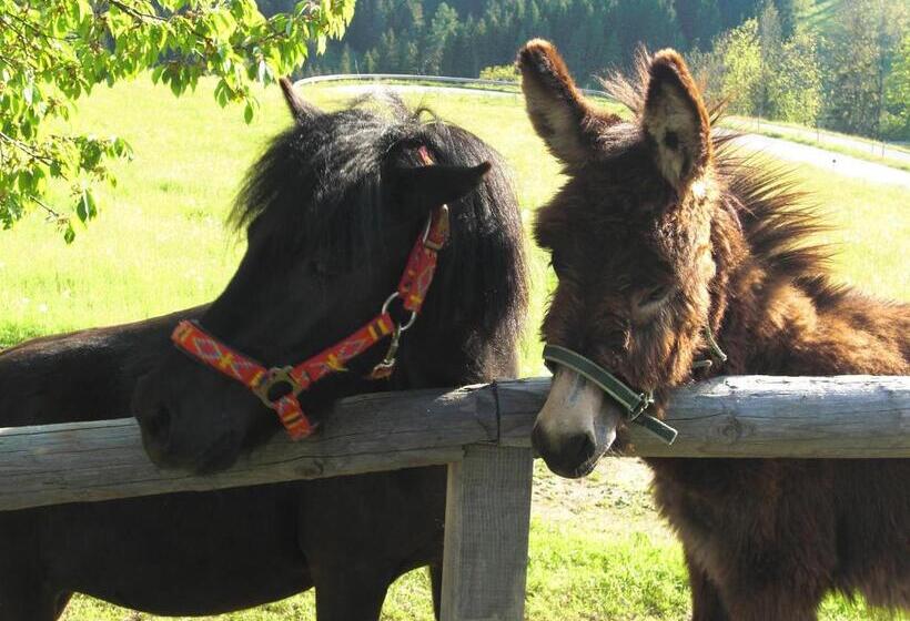 فندق Kniebergerhof