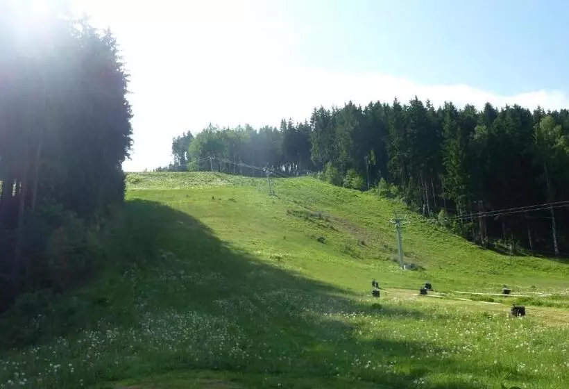 Hotelli Penzion Horalka