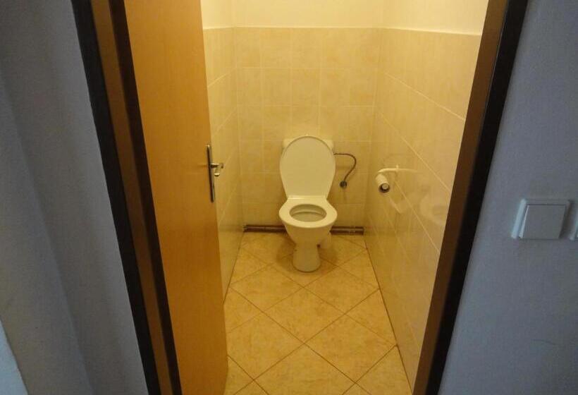 בית מלון כפרי Penzion Horalka