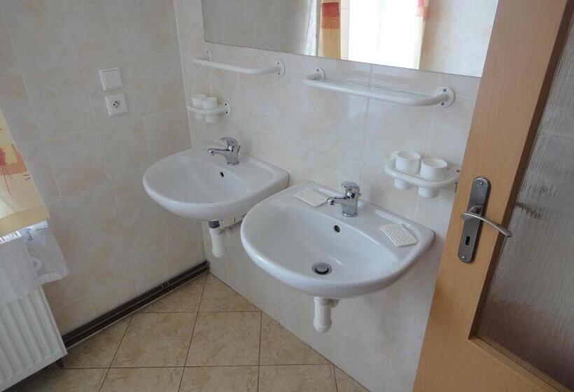 בית מלון כפרי Penzion Horalka