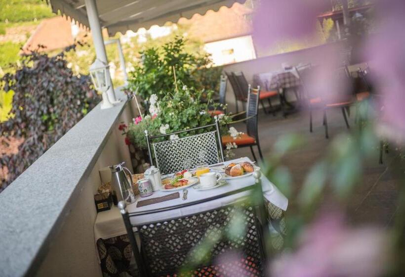 Panorama Hotel Himmelreich