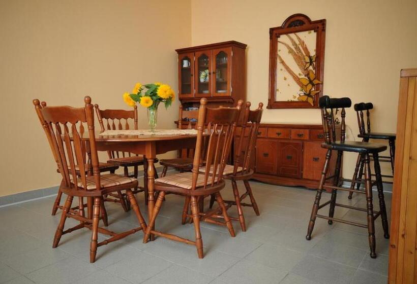 Пансион Gergely Tanya