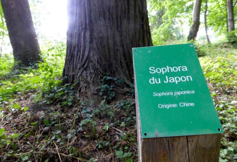 פנסיון Maison D'hôtes Le Château De Puxe