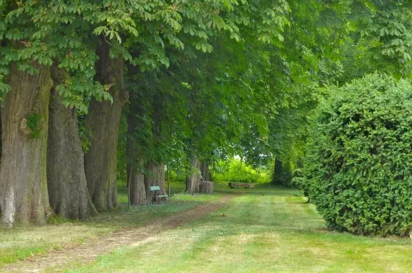 Majatalo Maison D'hôtes Le Château De Puxe