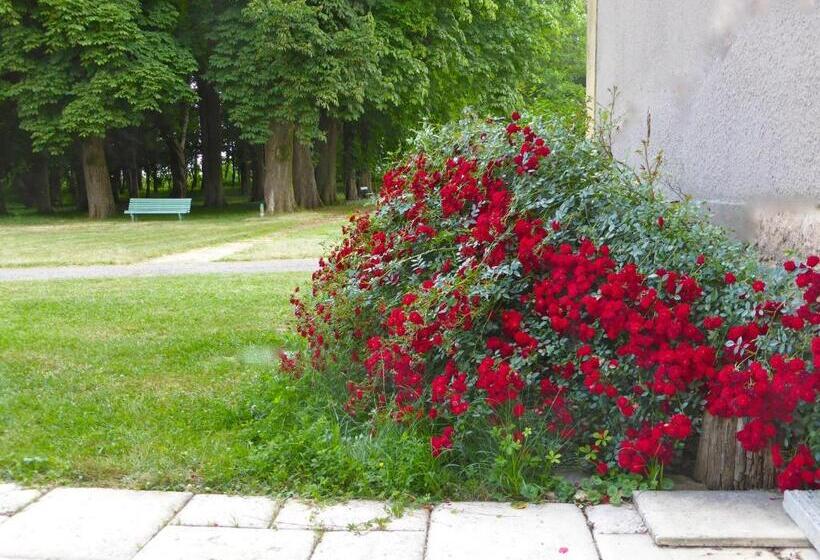 פנסיון Maison D'hôtes Le Château De Puxe