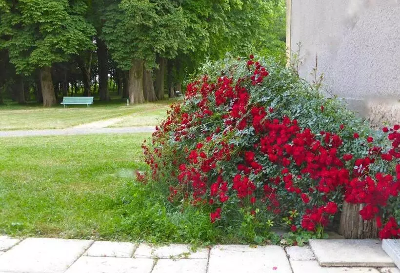 Majatalo Maison D'hôtes Le Château De Puxe