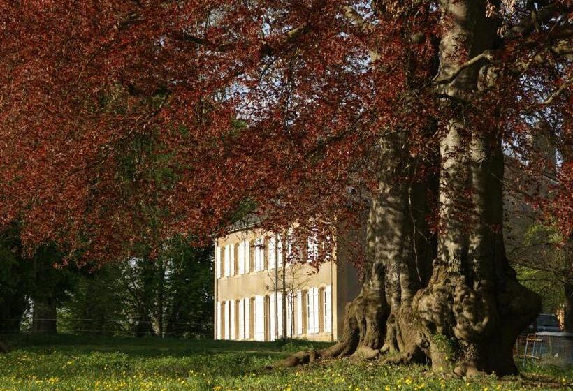 פנסיון Maison D'hôtes Le Château De Puxe