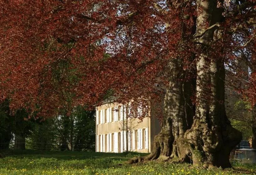 Majatalo Maison D'hôtes Le Château De Puxe