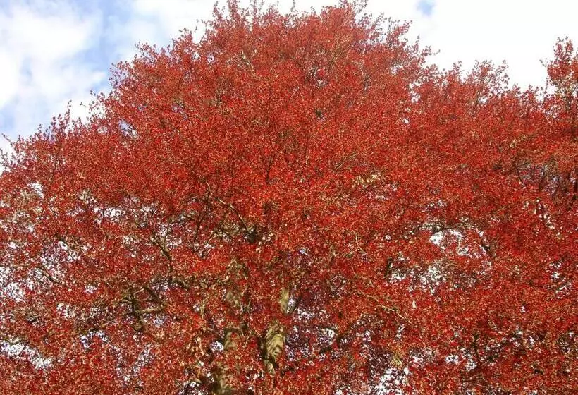 Majatalo Maison D'hôtes Le Château De Puxe