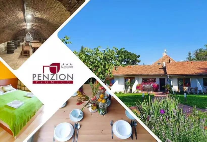 ペンション Penzion Proneco