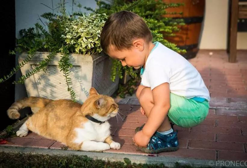 ペンション Penzion Proneco