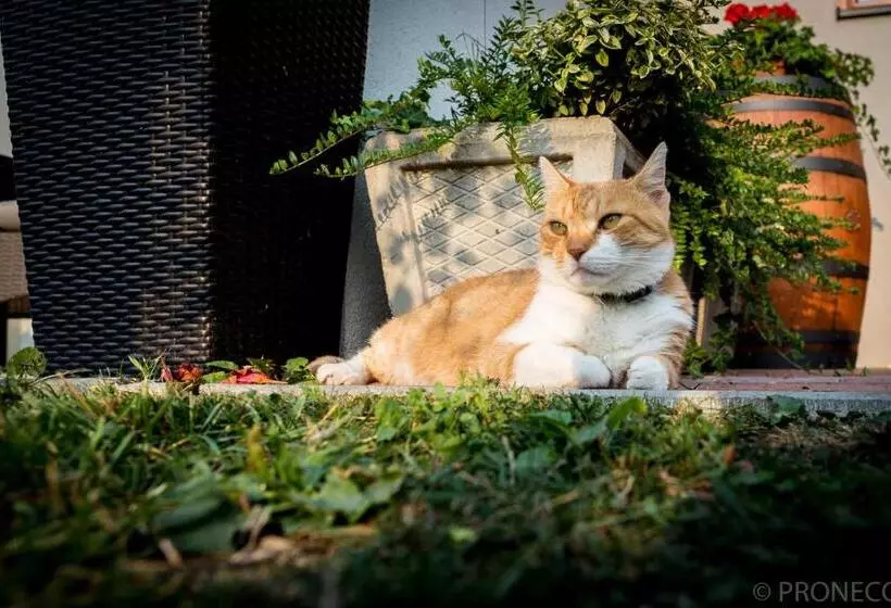 ペンション Penzion Proneco