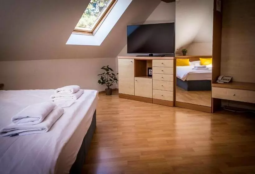 ペンション Penzion Proneco