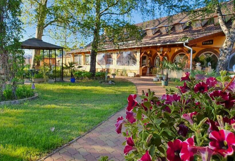 膳宿费 Platán Szálláshely