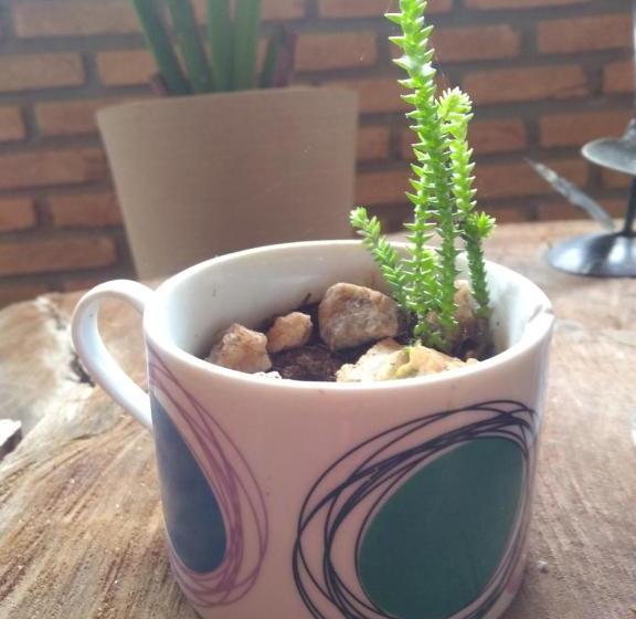 Pensão Sítio Das Hortênsias Chalés