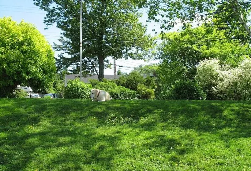 The Nelson House Bed & Breakfast